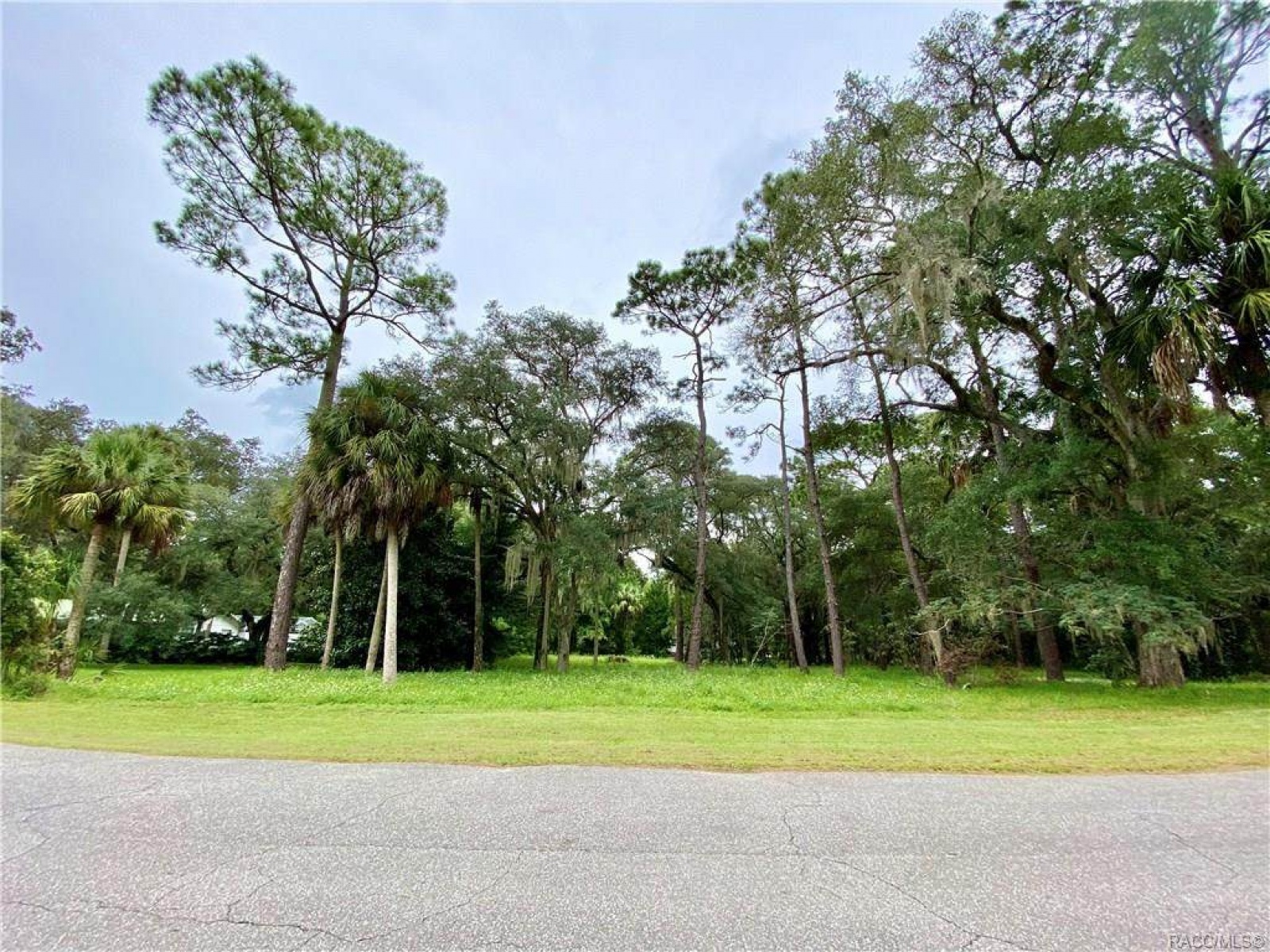 0 Riverside Drive, Yankeetown, Levy, Florida, United States 34498, ,Land,For sale,Riverside Drive,1043