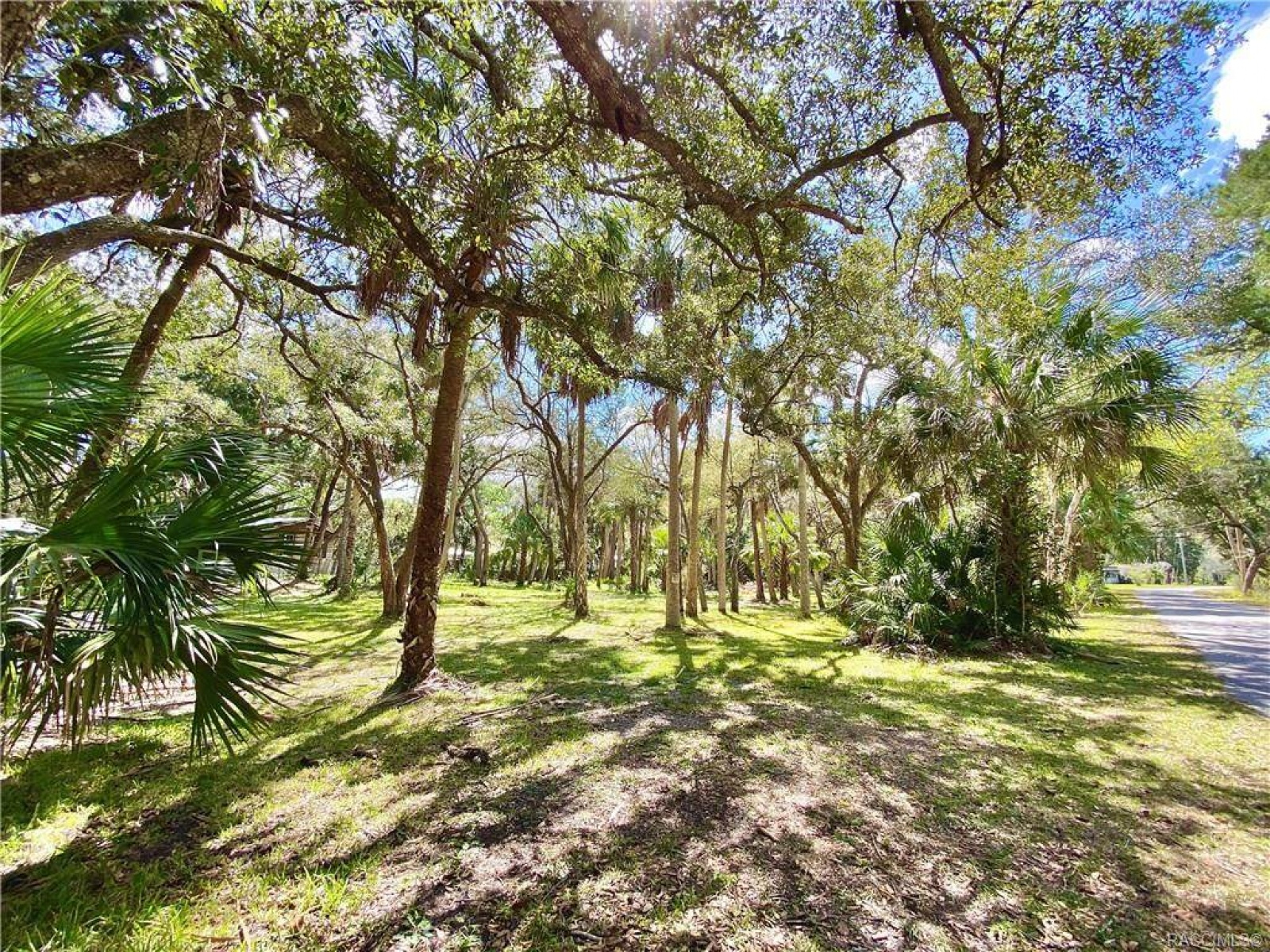 0 Lake Avenue, Yankeetown, Levy, Florida, United States 34498, ,Land,For sale, Lake Avenue,1046