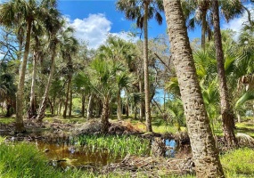 0 Lake Avenue, Yankeetown, Levy, Florida, United States 34498, ,Land,For sale, Lake Avenue,1046