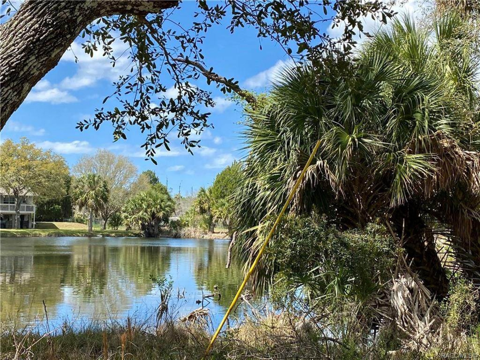 0 Lake Avenue, Yankeetown, Levy, Florida, United States 34498, ,Land,For sale, Lake Avenue,1046