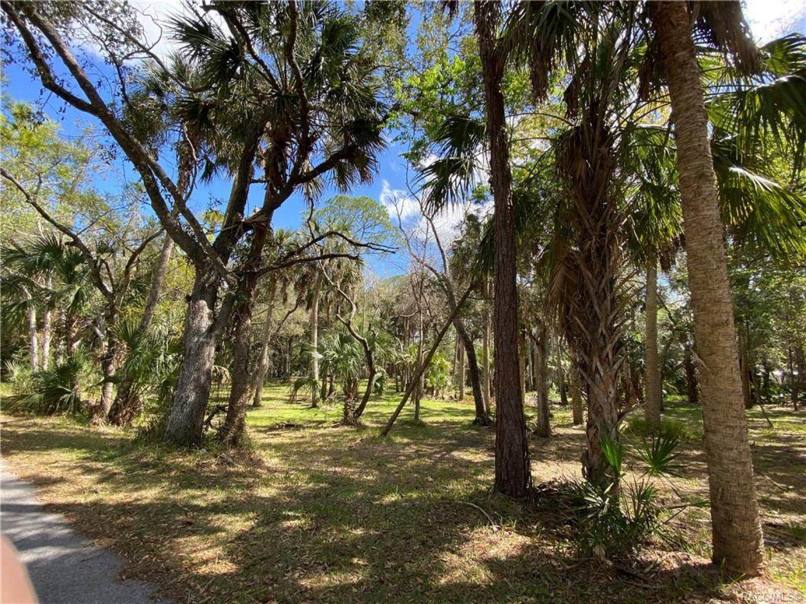 0 Lake Avenue, Yankeetown, Levy, Florida, United States 34498, ,Land,For sale, Lake Avenue,1046