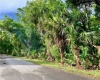 0 55th Street, Yankeetown, CItrus, Florida, United States 34498, ,Land,For sale,55th Street,1049