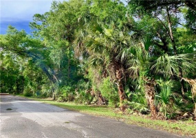 0 55th Street, Yankeetown, CItrus, Florida, United States 34498, ,Land,For sale,55th Street,1049