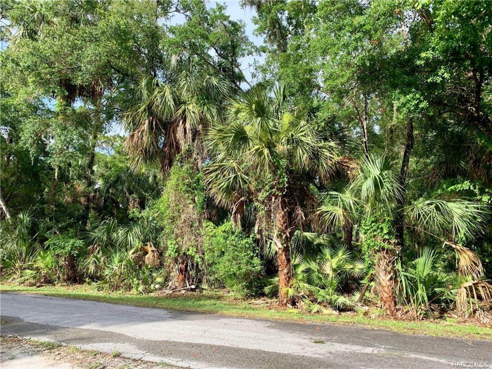 0 55th Street, Yankeetown, CItrus, Florida, United States 34498, ,Land,For sale,55th Street,1049