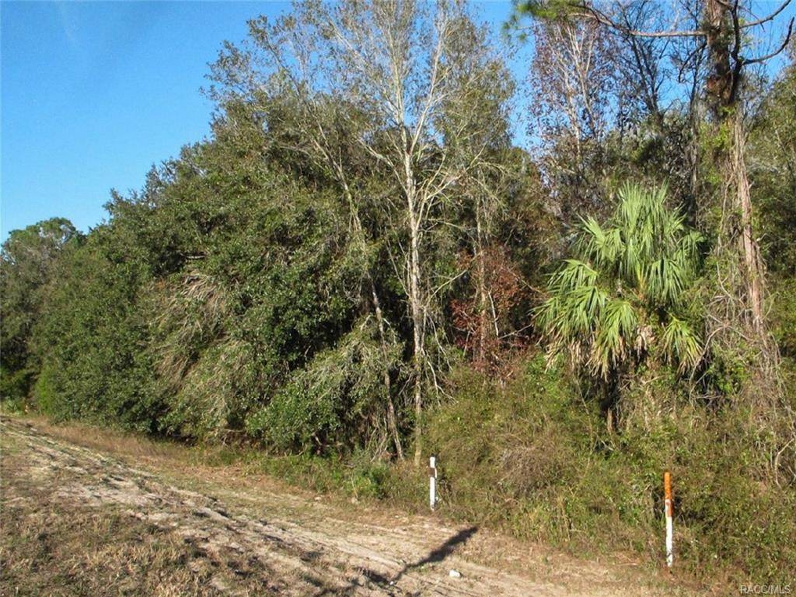 0 Highway 19 N, Inglis, Levy, Florida, United States 34449, ,Commercial,For sale,Highway 19 N,1051