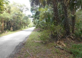 0 54th Street, Yankeetown, Citrus, Florida, United States 34498, ,Land,For sale,54th Street,1052